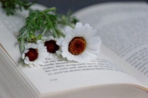 flower on book